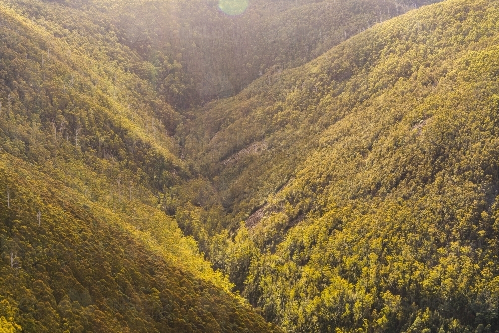 Tree-coated Tasmanian valley - Australian Stock Image