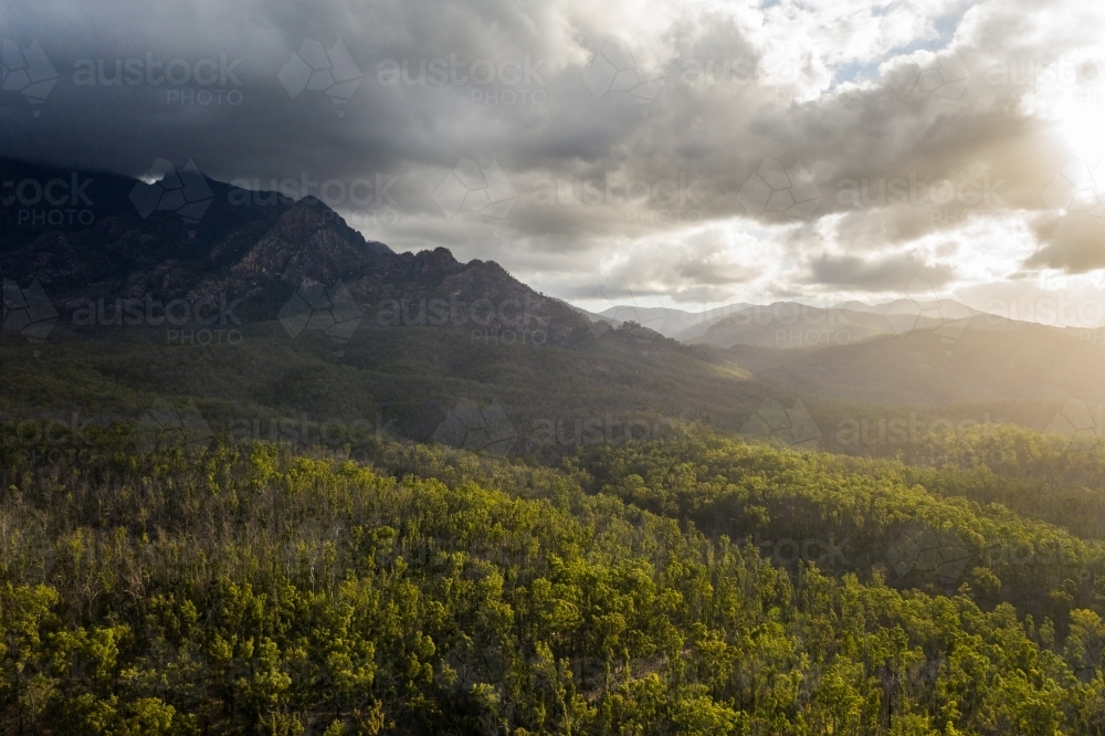 Tree-covered mountain landscape with overcast sky - Australian Stock Image