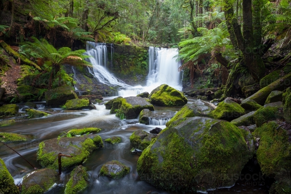 Tree ferns and mossy boulders beside Horseshoe Falls waterfall - Australian Stock Image