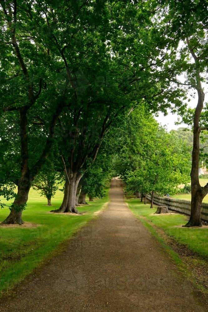 Tree Lined Path in Port Arthur Historic Site - Australian Stock Image