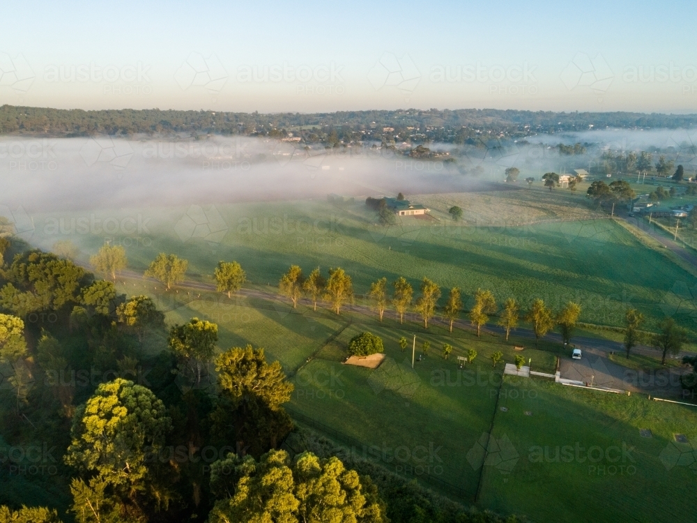 Tree lined road beside small green misty farm paddock in Dunolly area of Singleton at sunrise - Australian Stock Image