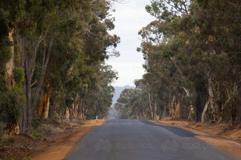tree-lined rural bitumen road with shoulder widening work - Australian Stock Image