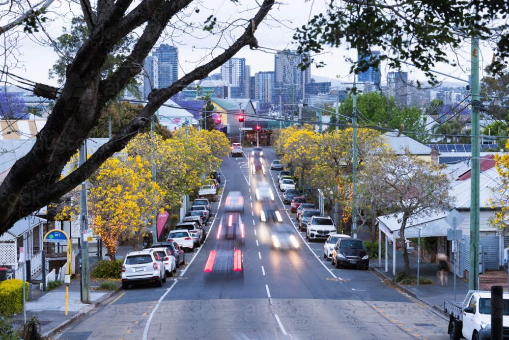 Tree lined urban street with golden foliage at dusk with light trails from passing vehicles - Australian Stock Image