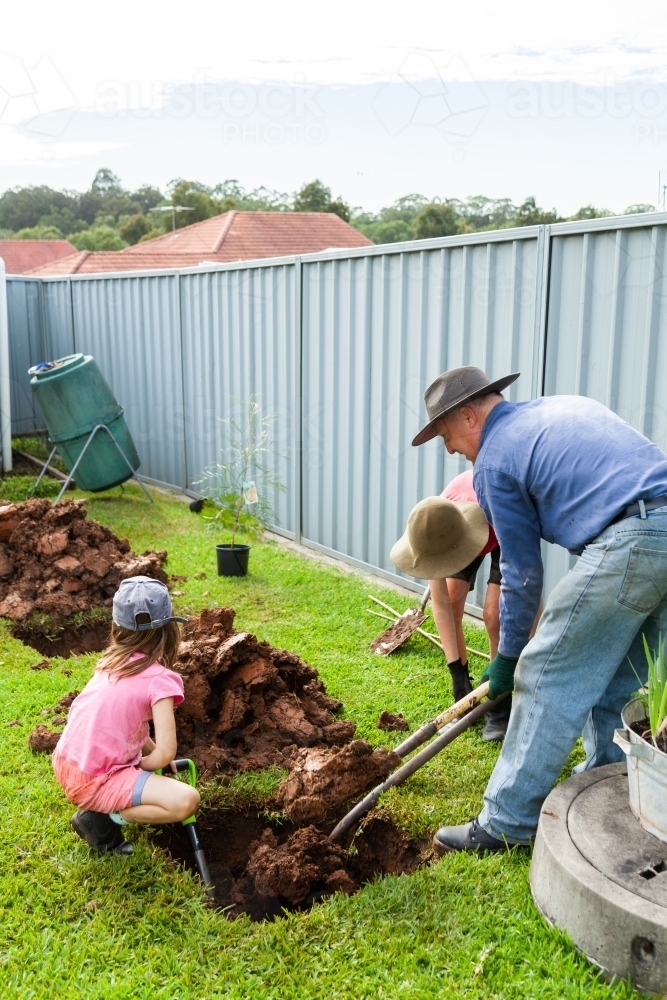 Tree planting - family digging hole in backyard to plant bush in - Australian Stock Image