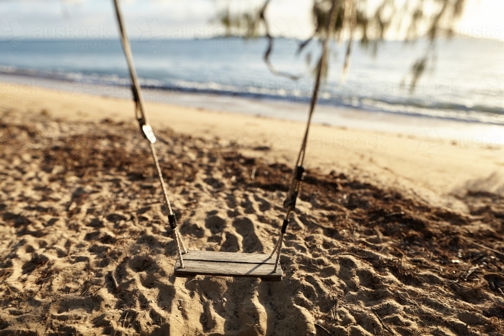 Tree swing on deserted beach. - Australian Stock Image