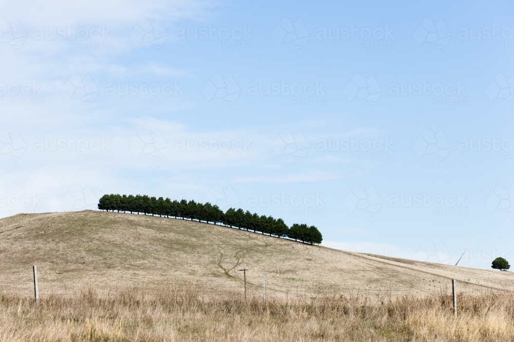 Treeline on a hill with wind turbine blade protruding - Australian Stock Image
