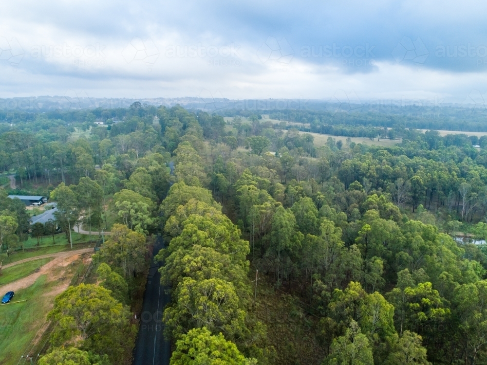 Image of Treelined road in rural residential area of hunter valley