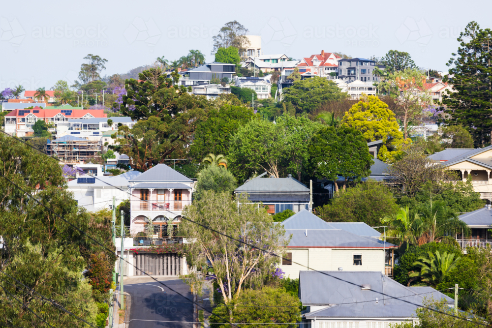 Treelined steep residential street climbing uphill viewed from elevated viewpoint - Australian Stock Image