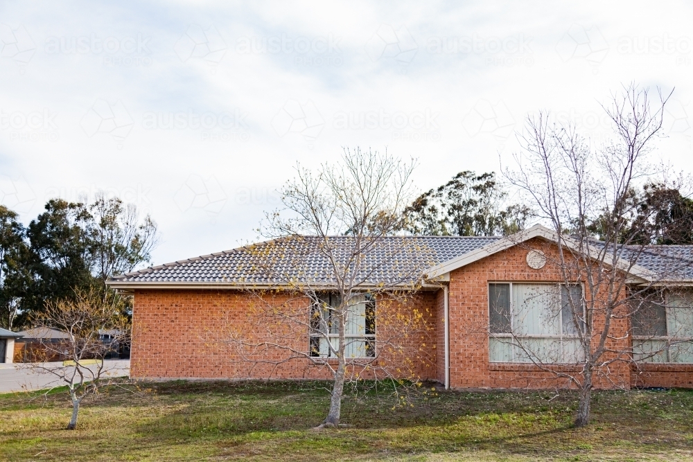 Trees beside house in suburban area - Australian Stock Image