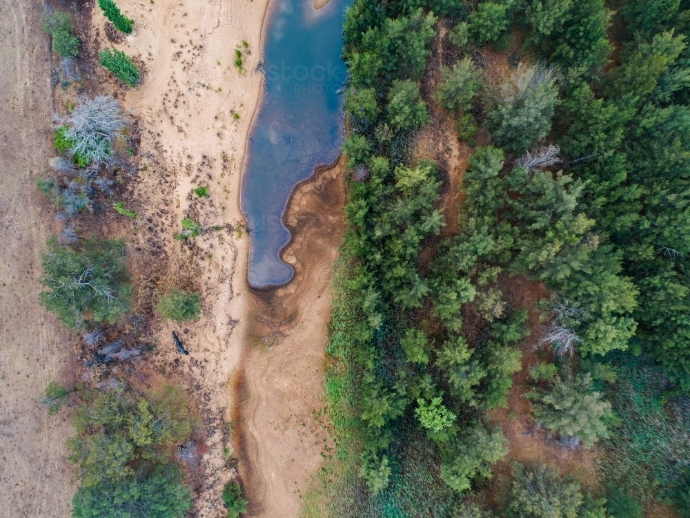 Trees beside pool of stagnant water of creek - Australian Stock Image