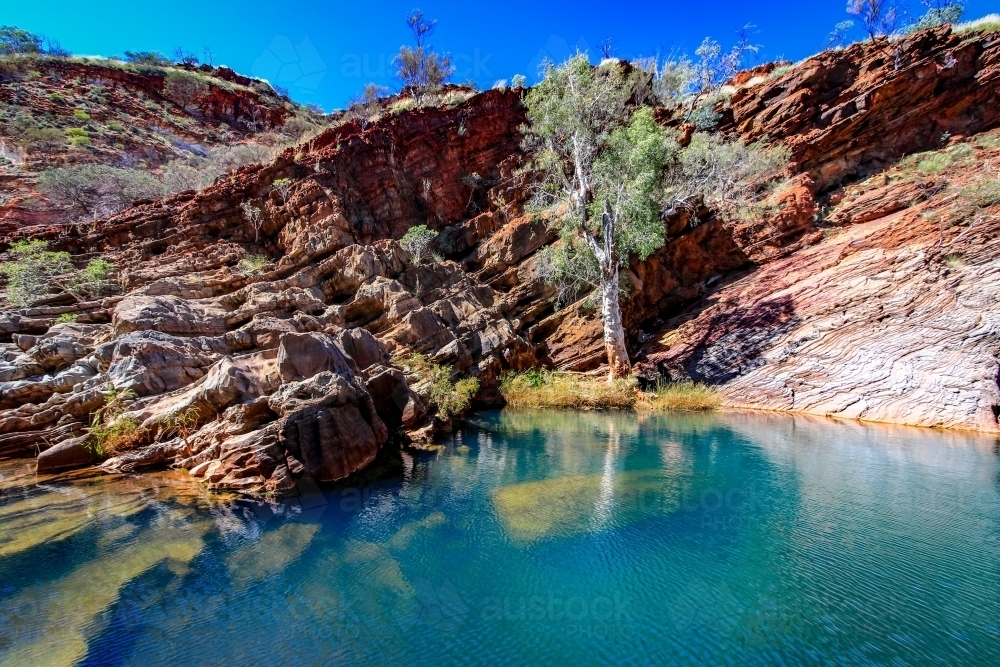Trees beside pool of water in the outback - Australian Stock Image