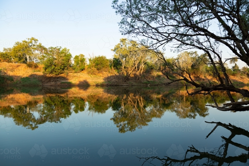 trees by the river with its shadow reflecting on it. - Australian Stock Image