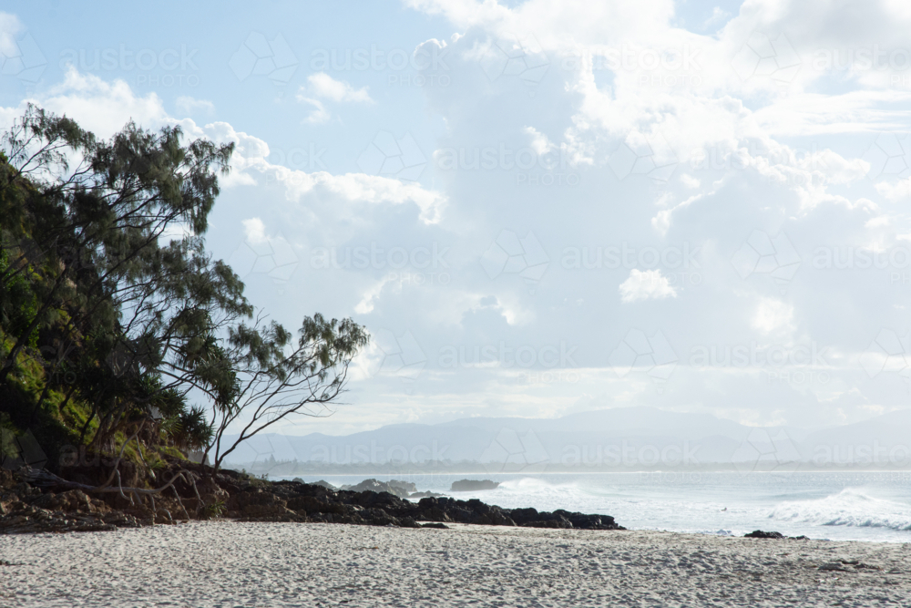 Trees on the beach at Byron Bay - Australian Stock Image