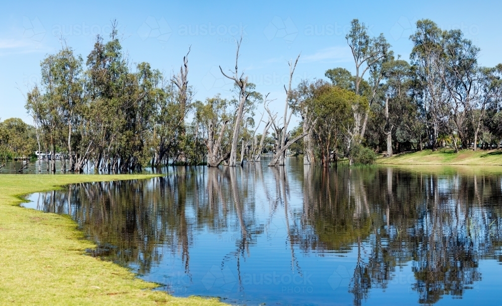 trees reflected on river - Australian Stock Image