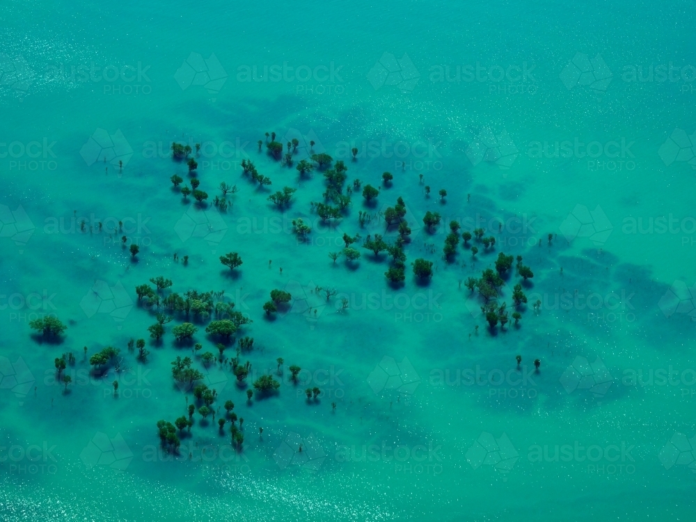 Trees Submerged in High Tide Water in Buccaneer Archipelago - Australian Stock Image