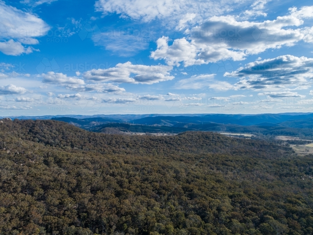 Treetops of forest covering mountains around Capertee NSW Australia - Australian Stock Image