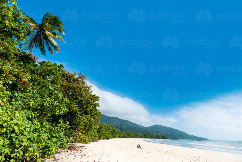 Tropical beach with lush rainforest meeting white sand and calm ocean - Australian Stock Image