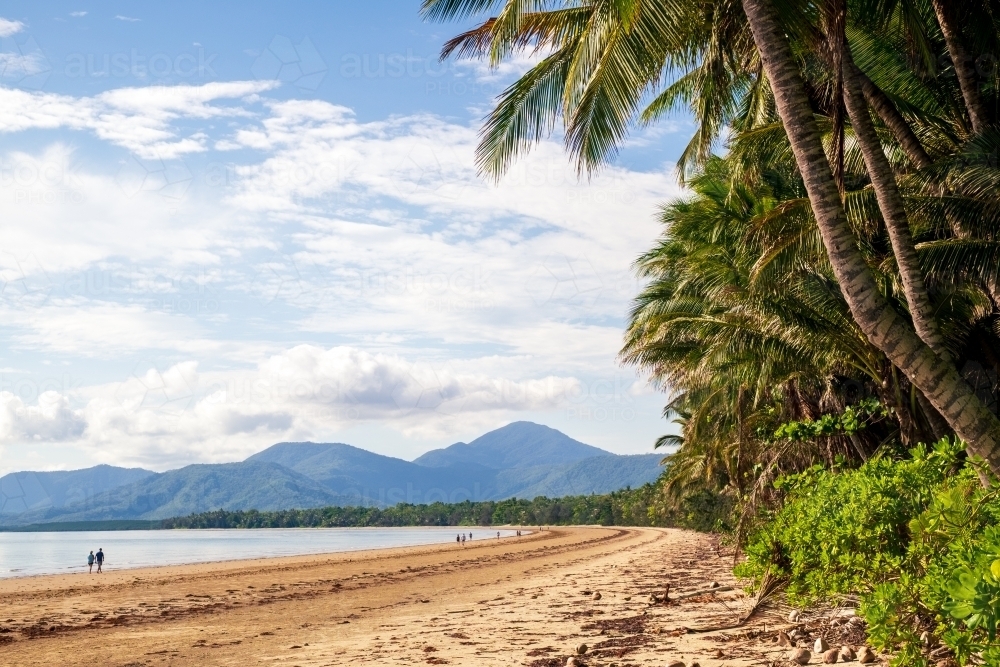 Tropical beachscape at Port Douglas - Australian Stock Image