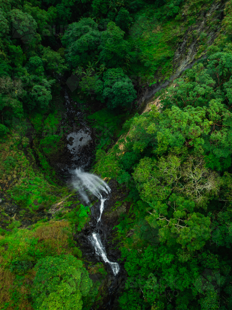 Tropical forest and waterfall - Australian Stock Image