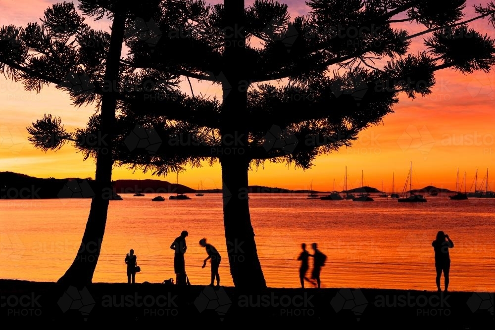 Tropical sunset with sihouettes of people, trees and boats - Australian Stock Image