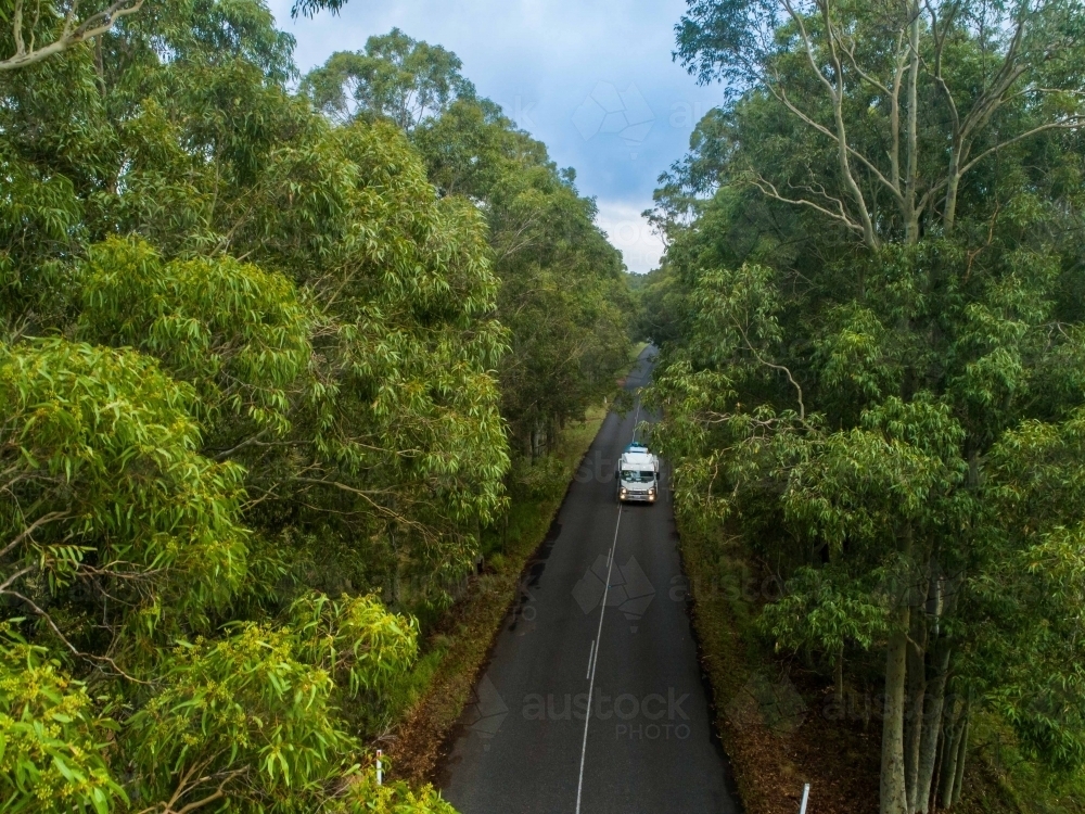 truck travelling down treelined rural road aerial view from among gum tree branches - Australian Stock Image