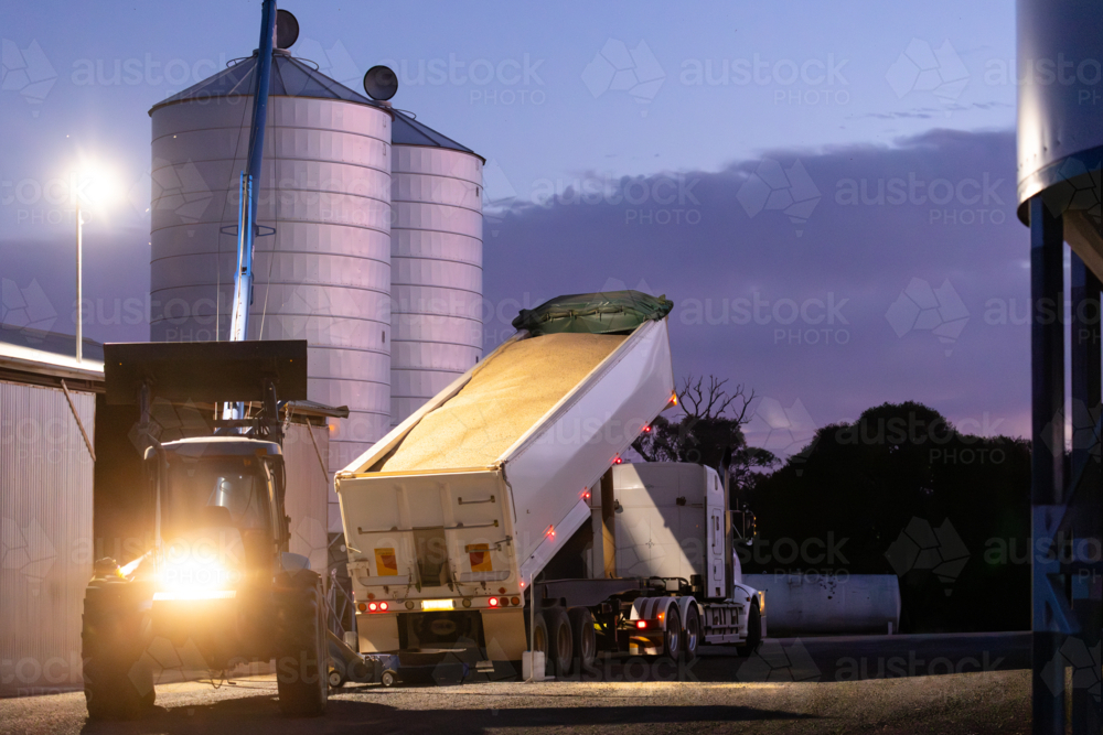 Truck unloading wheat with tractor, auger and silos on a farm at night - Australian Stock Image
