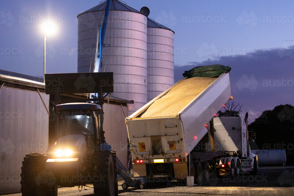 Truck unloading wheat with tractor, auger and silos on a farm at night - Australian Stock Image