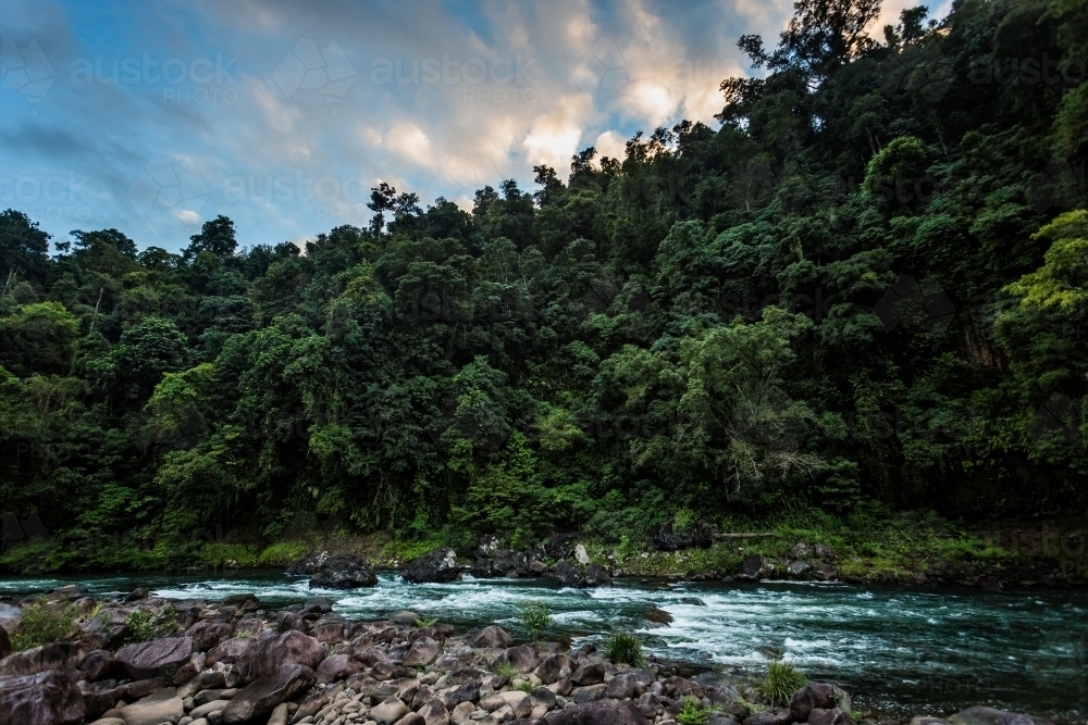 Tully River at Dawn - Australian Stock Image