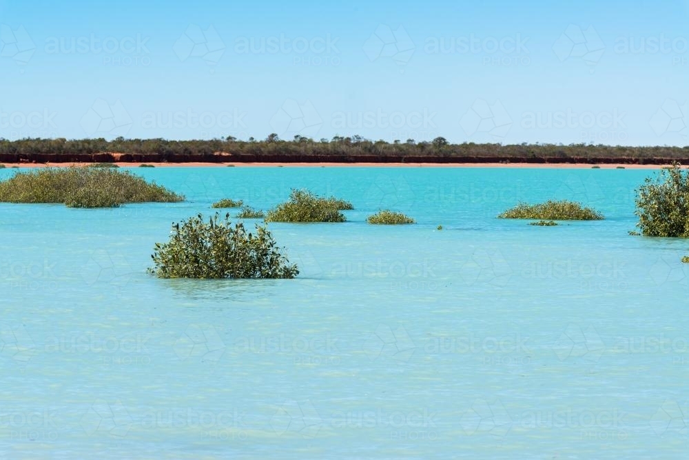 Turquoise water almost covers mangroves in Roebuck Bay - Australian Stock Image