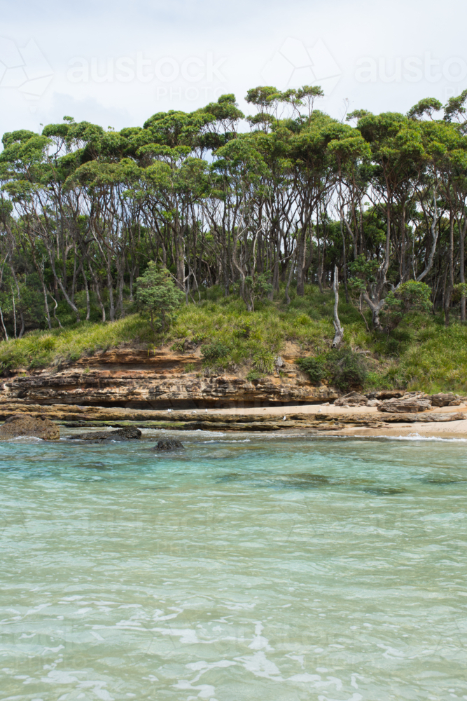 Turquoise water and rocks with gum trees - Australian Stock Image