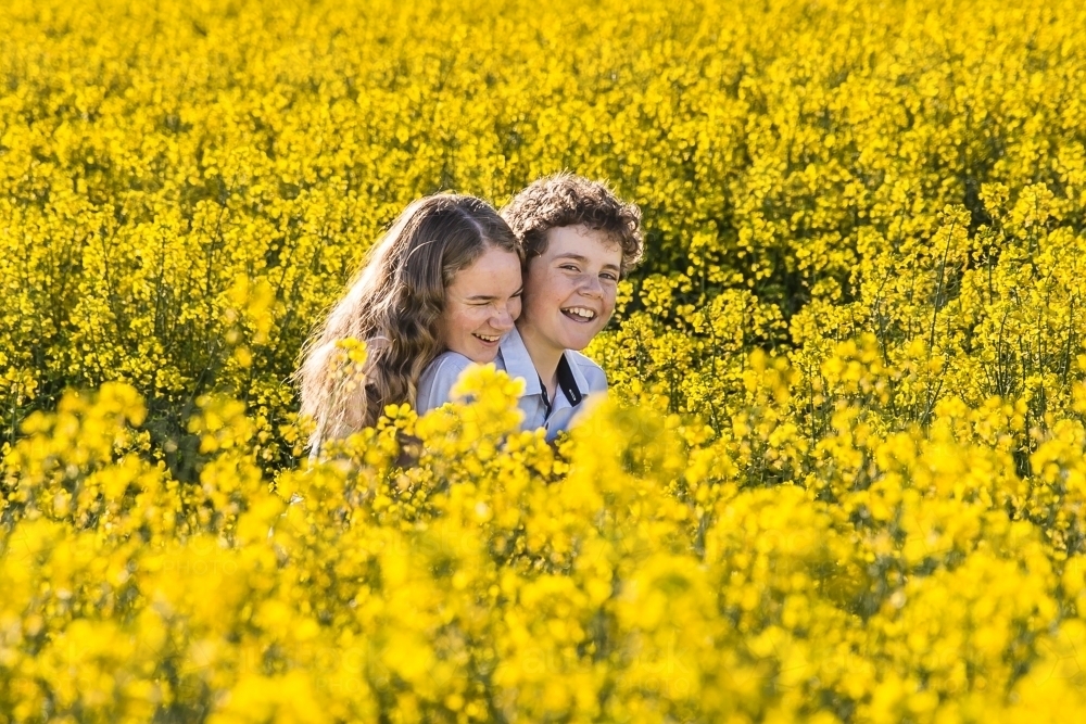 Tween boy and teenage girl cuddling in laughing in canola field on farm - Australian Stock Image