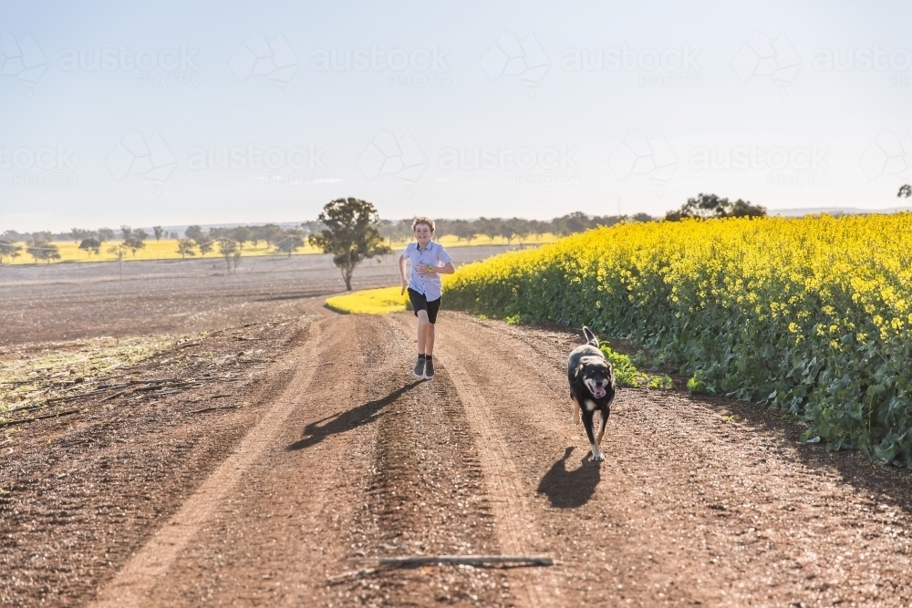 Tween boy having fun chasing kelpie dog on dirt road on farm near canola paddock - Australian Stock Image