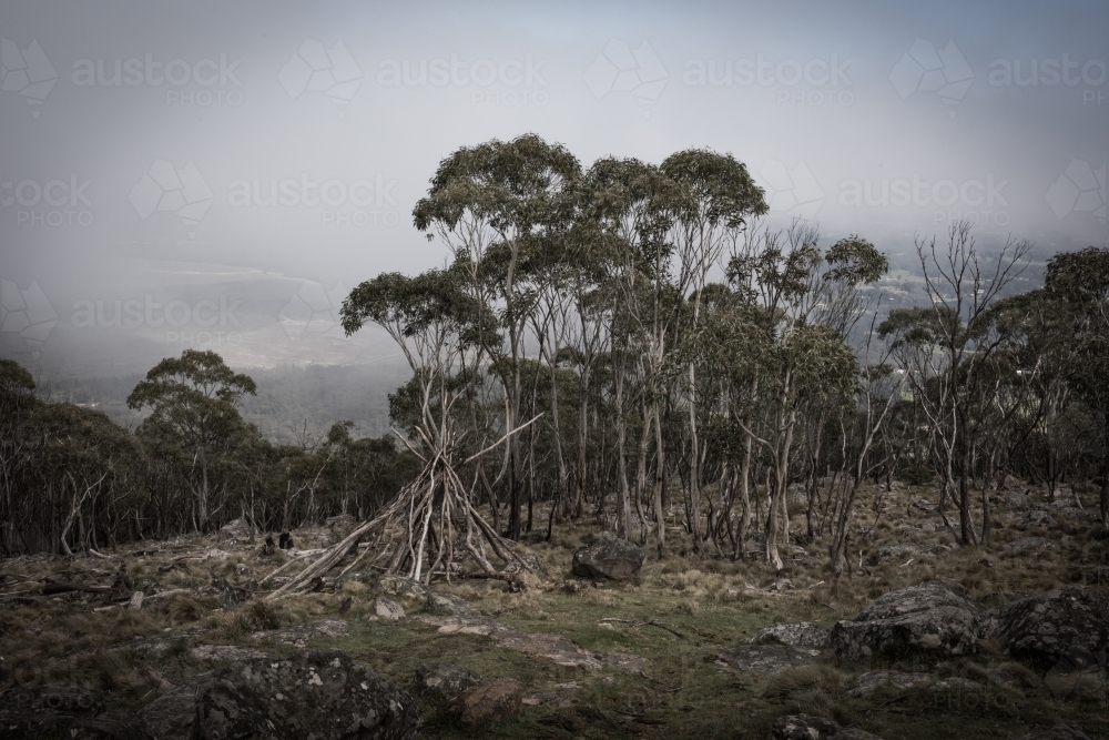 twig teepee in the australian landscape - Australian Stock Image