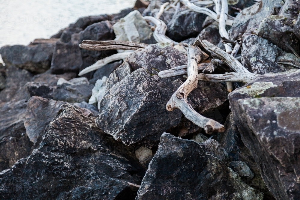 Image of Twisting white driftwood sticks on rocks at high water line on ...
