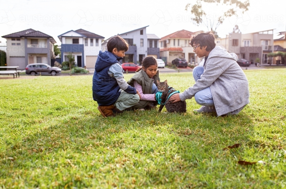 two boys and one girl playing with a cat with a blue green leash at park - Australian Stock Image