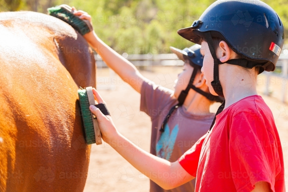 Two boys brushing horse down together learning to care for horses - Australian Stock Image