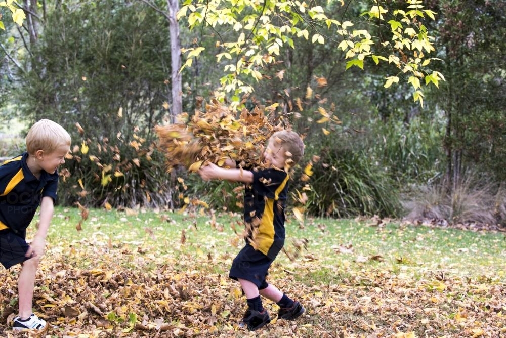 Two boys paying in autumn leaves wearing school uniform - Australian Stock Image