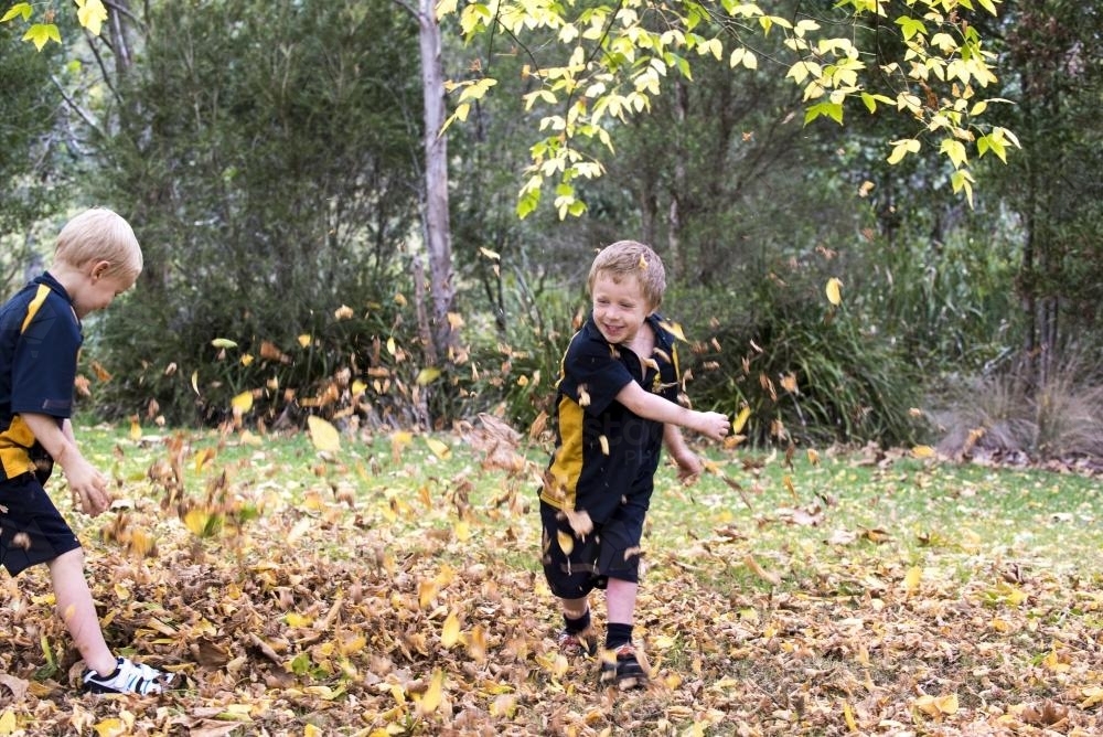 Two boys paying in autumn leaves wearing school uniform - Australian Stock Image