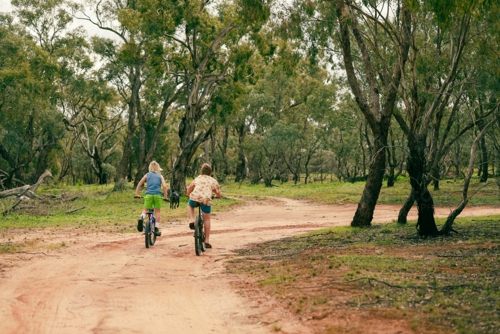 Two boys riding bikes on dirt road in forest - Australian Stock Image