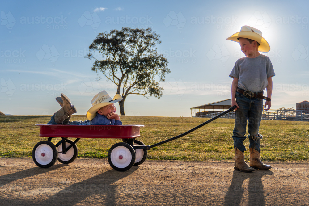 Two brothers pulling each other in a little red wagon - Australian Stock Image