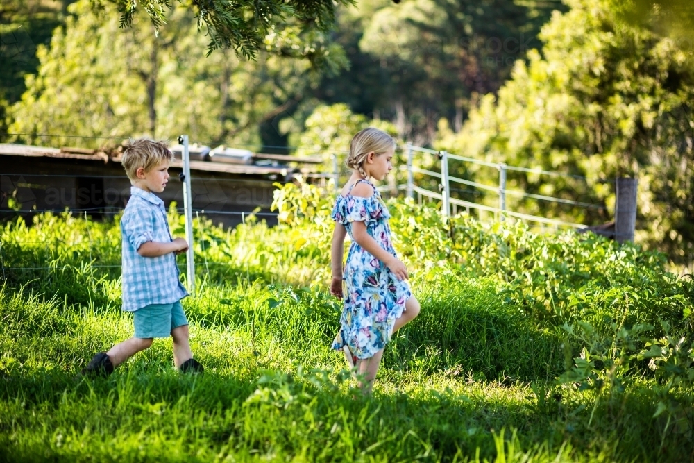 Two children walking through long green grass hunting - Australian Stock Image
