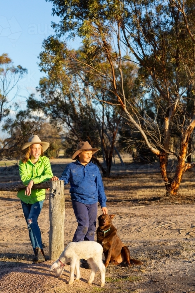 Two country kids with their kelpie dog and pet lamb - Australian Stock Image