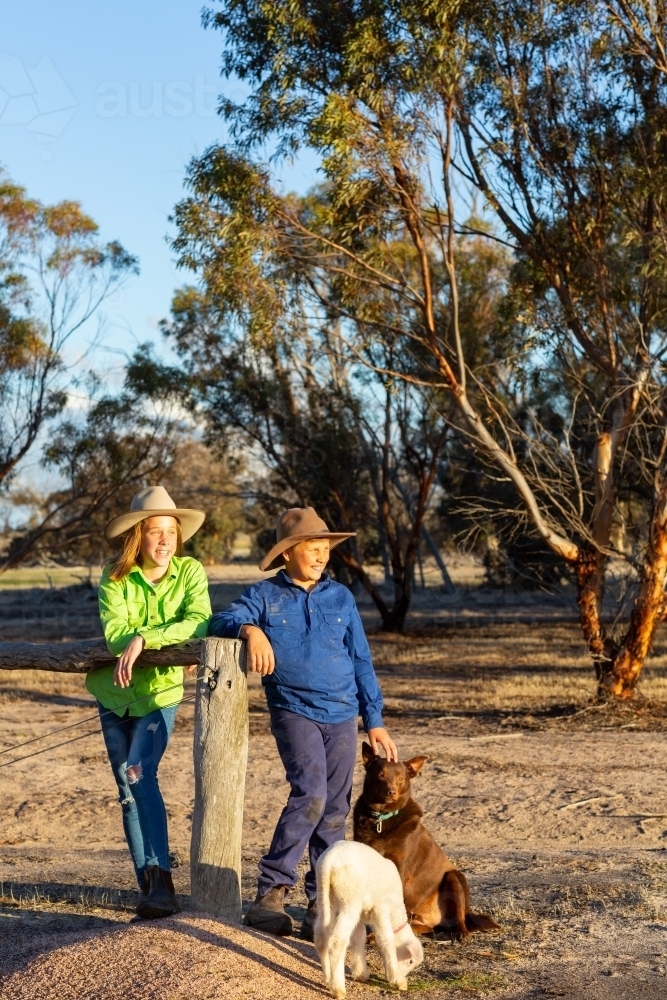 Two country kids with their kelpie dog and pet lamb - Australian Stock Image