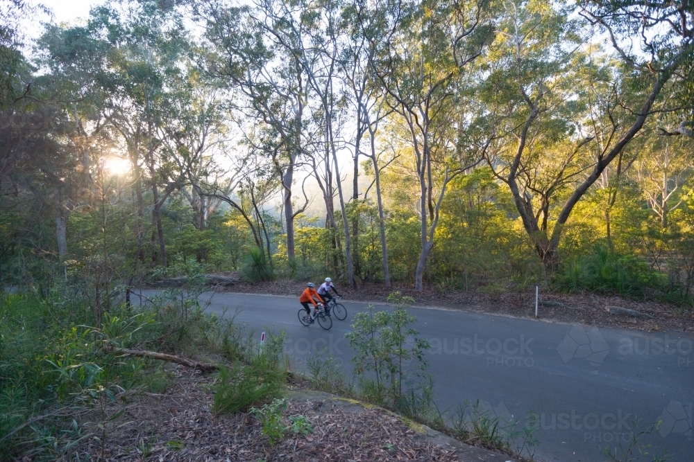 Two cyclists riding on road in forest during sunrise - Australian Stock Image