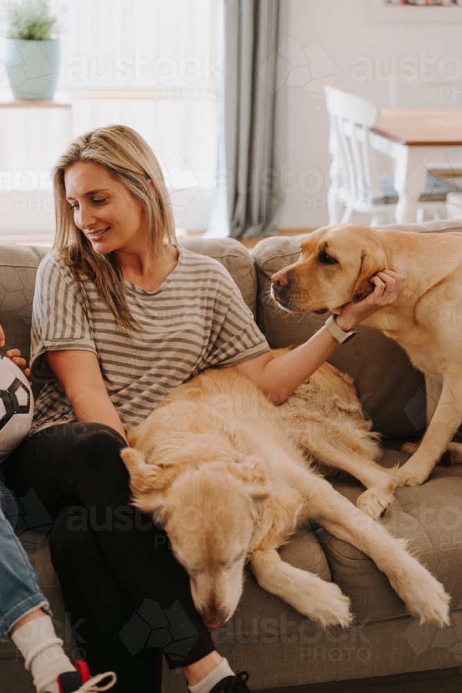 Two dogs comfortably lying on the couch with their owner. - Australian Stock Image
