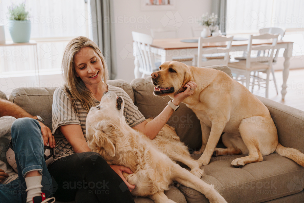 Two dogs snuggle with the family on the couch. - Australian Stock Image