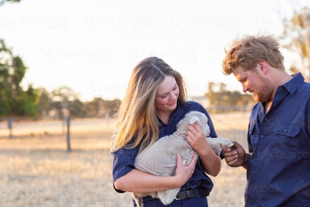 Two farm workers with a baby lamb - Australian Stock Image