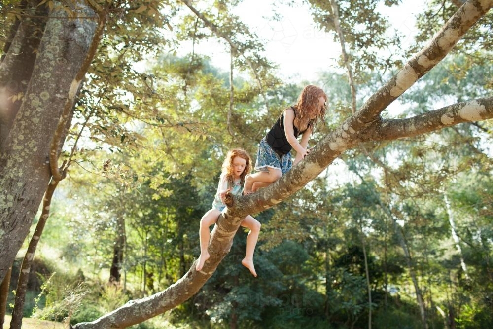 Two girls climbing a tree - Australian Stock Image