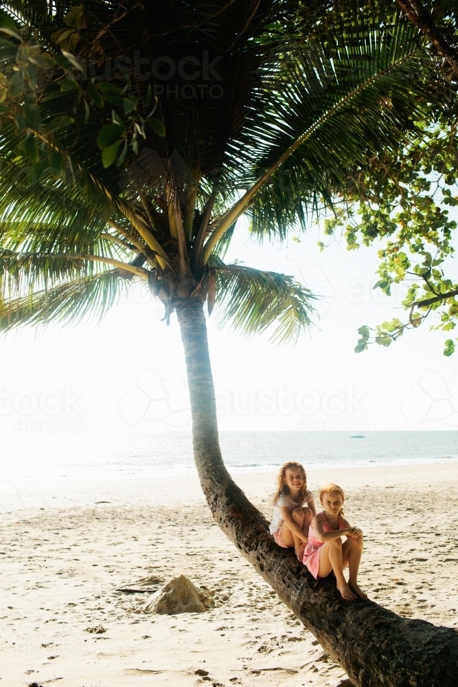 Two girls sitting on a palm tree at the beach - Australian Stock Image
