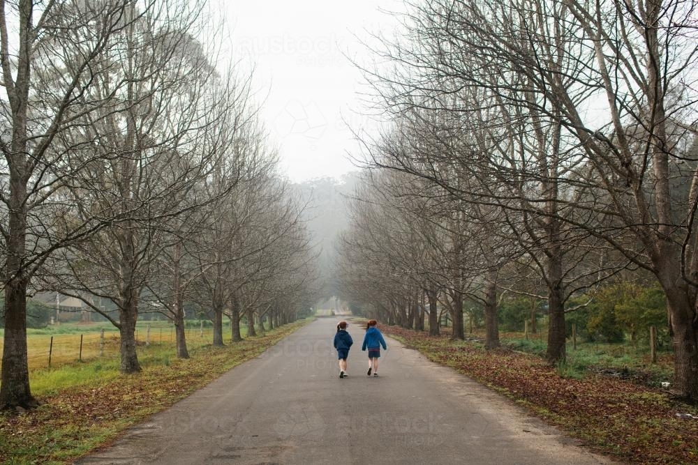 Two girls walking along a tree lined street - Australian Stock Image